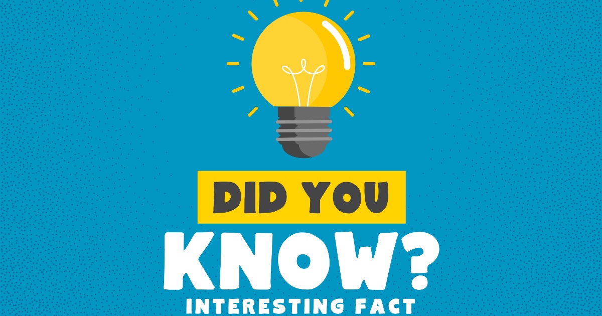 Cover for 10 Things Every International Student Should Know Before Moving to China